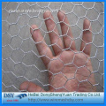 Golden Factory Chicken Galvanized Hexagonal Wire Mesh